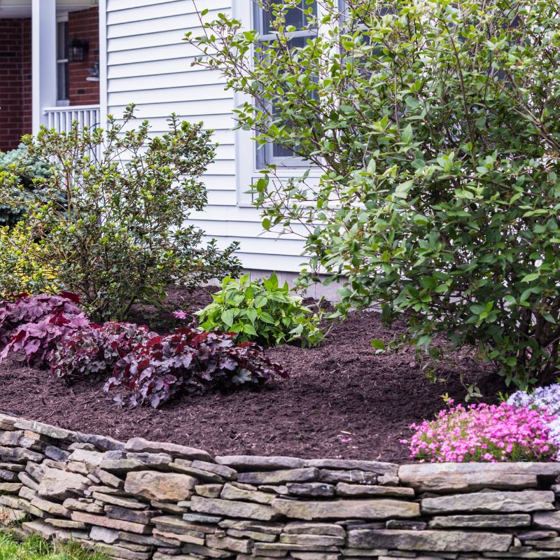 Mulch