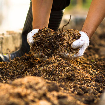 Top Soil